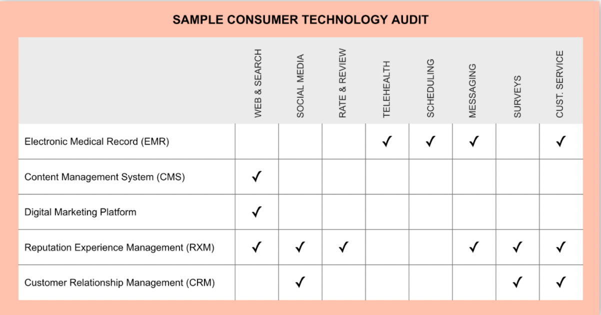 sample consumer technology audit