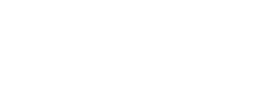 Hendrick Automotive Group logo