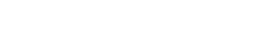 Bozzuto logo